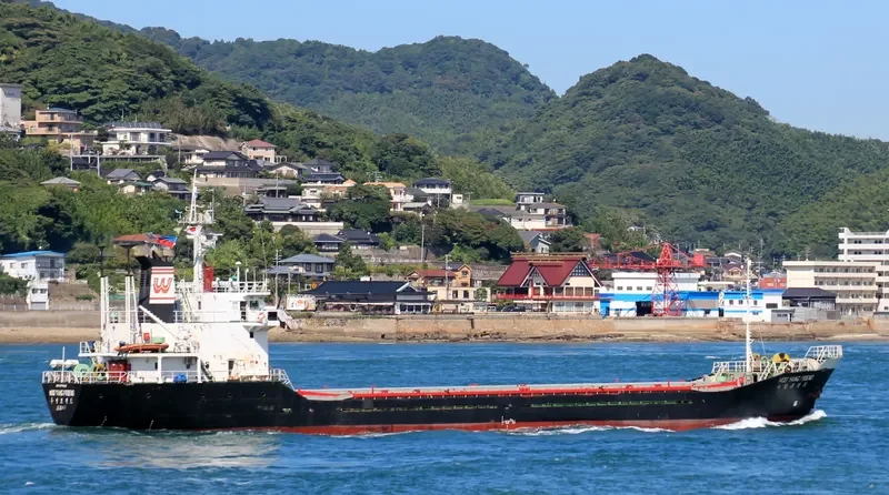 SEABORNE CARGO 3 General Cargo IMO 9071442 photo 3