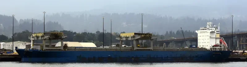 STAR HIDRA General Cargo IMO 9071569 photo 4