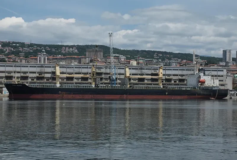 STEEL WISDOM General Cargo IMO 9071571 photo 2