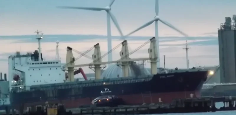 STEEL WISDOM General Cargo IMO 9071571 photo 5