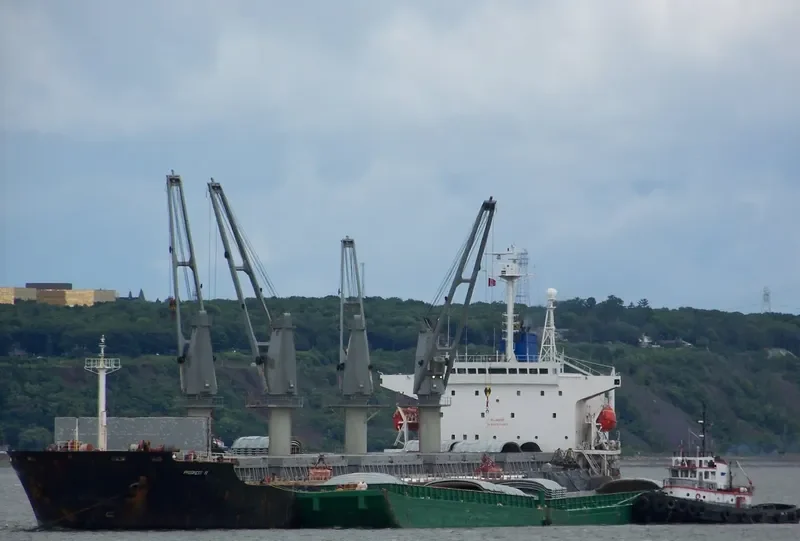 STEEL WISDOM General Cargo IMO 9071571 photo 7