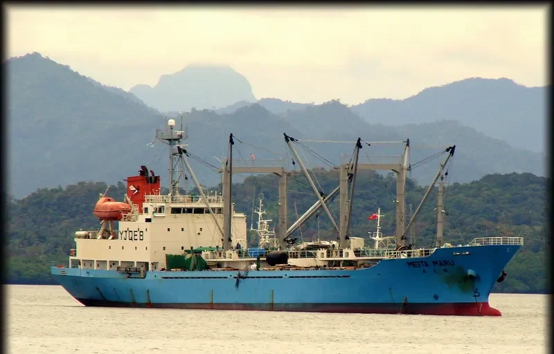 MEITA MARU General Cargo IMO 9071583 photo 7