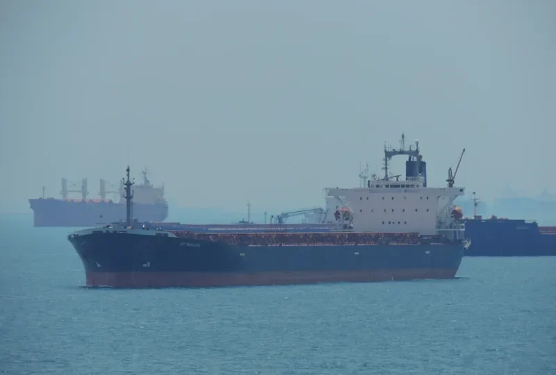 VARVA Bulk Carrier IMO 9071600 photo 2