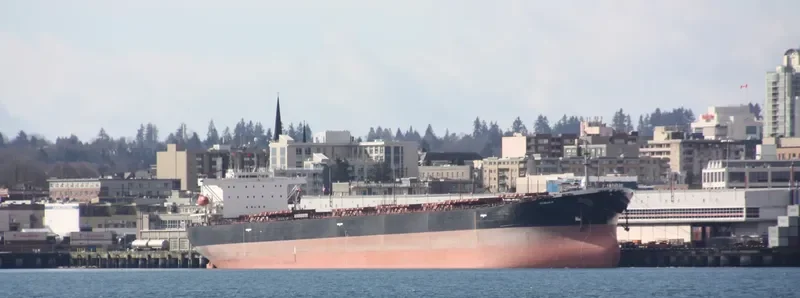 VARVA Bulk Carrier IMO 9071600 photo 10