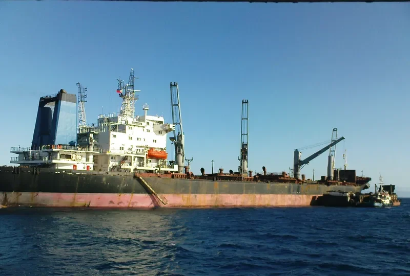 HARKRIPA Bulk Carrier IMO 9071698 photo 2