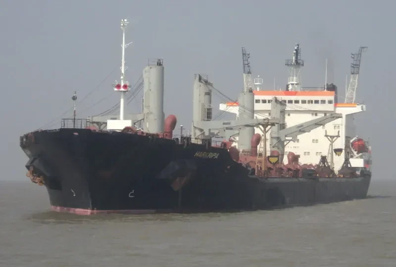 HARKRIPA Bulk Carrier IMO 9071698 photo 4