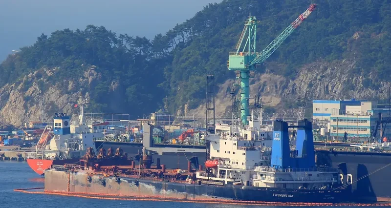 FU SHENG HAI Bulk Carrier IMO 9071703