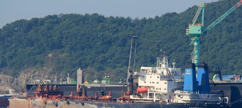 FU SHENG HAI Bulk Carrier IMO 9071703 photo 2