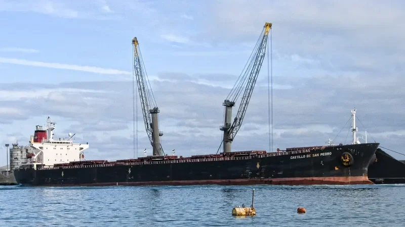 CASTILLO DE SAN PEDRO Bulk Carrier IMO 9071820