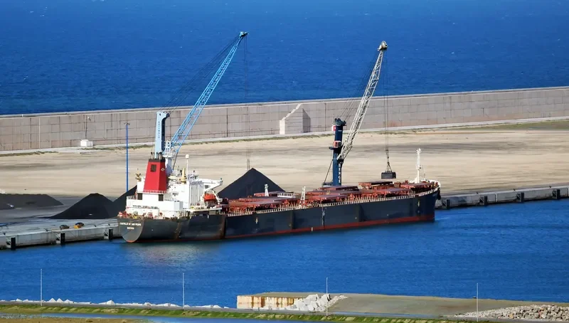 CASTILLO DE SAN PEDRO Bulk Carrier IMO 9071820 photo 3