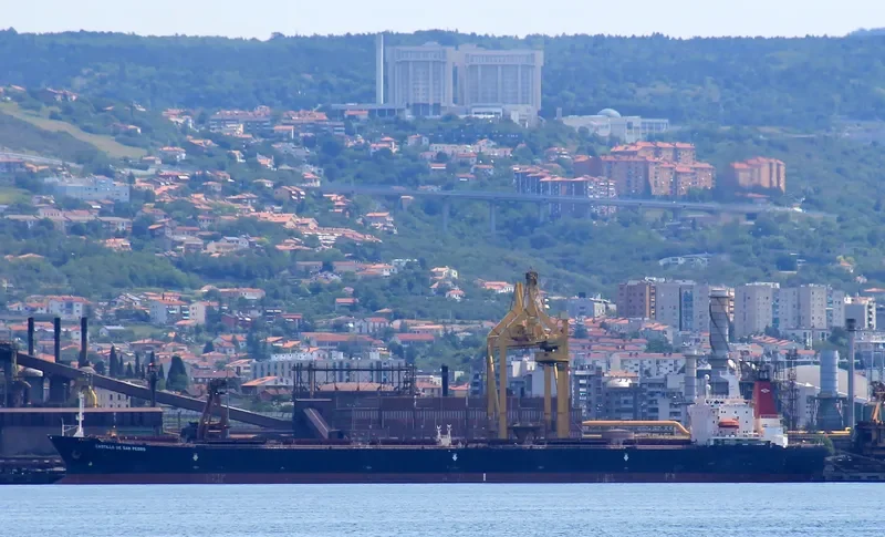 CASTILLO DE SAN PEDRO Bulk Carrier IMO 9071820 photo 4