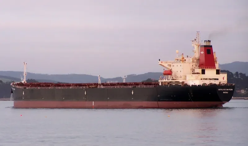 CASTILLO DE SAN PEDRO Bulk Carrier IMO 9071820 photo 5