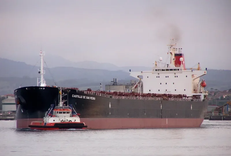 CASTILLO DE SAN PEDRO Bulk Carrier IMO 9071820 photo 7