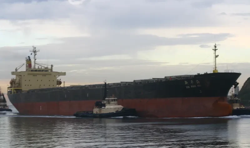 XIN PING HAI Bulk Carrier IMO 9072161 photo 2