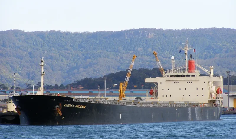 XIN PING HAI Bulk Carrier IMO 9072161 photo 4