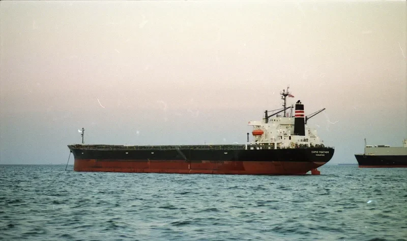 YI HUI Bulk Carrier IMO 9072185 photo 6