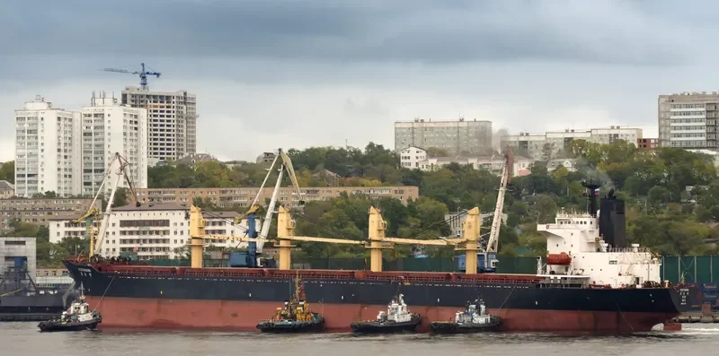 PORTMANN Bulk Carrier IMO 9072214