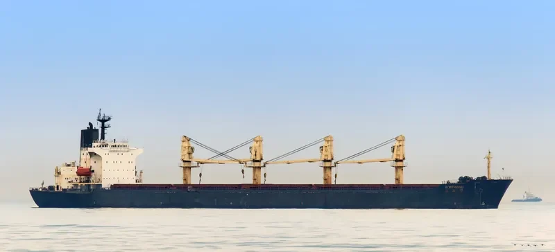 PORTMANN Bulk Carrier IMO 9072214 photo 7