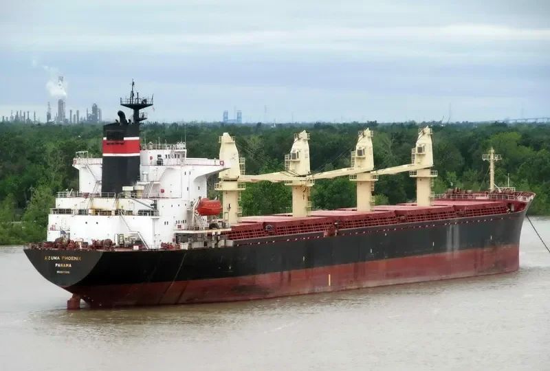 PORTMANN Bulk Carrier IMO 9072214 photo 10