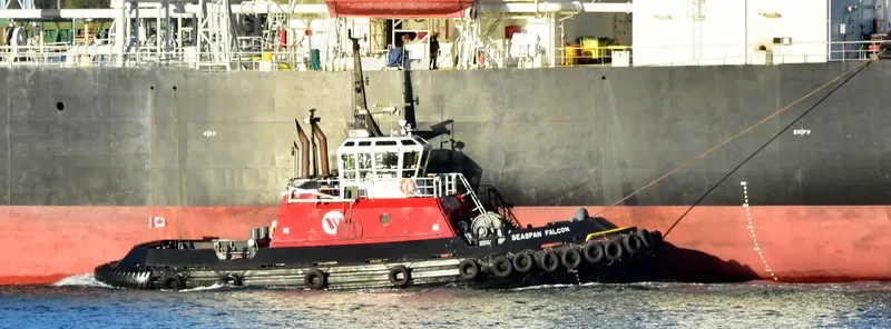SEASPAN FALCON General Cargo IMO 9072393