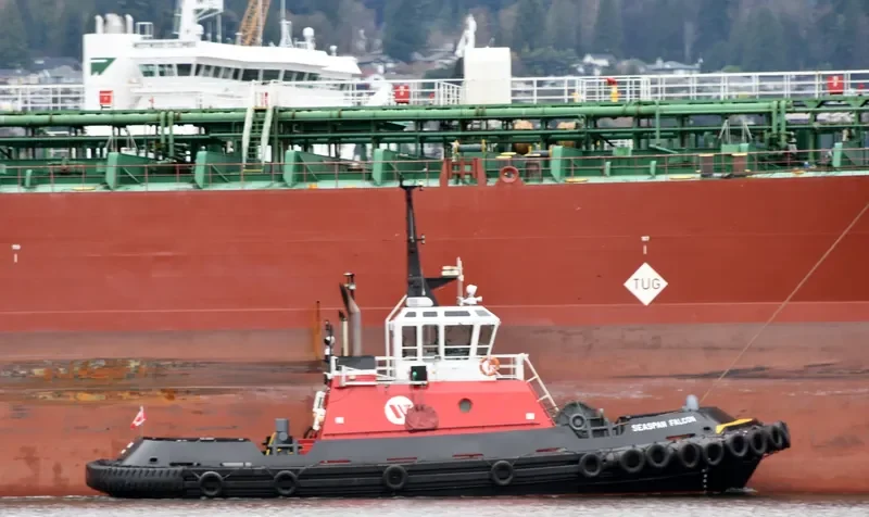 SEASPAN FALCON General Cargo IMO 9072393 photo 2