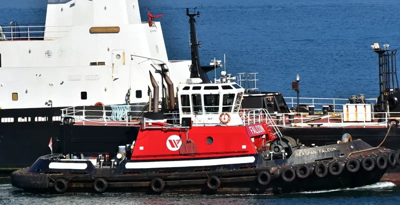 SEASPAN FALCON General Cargo IMO 9072393 photo 8