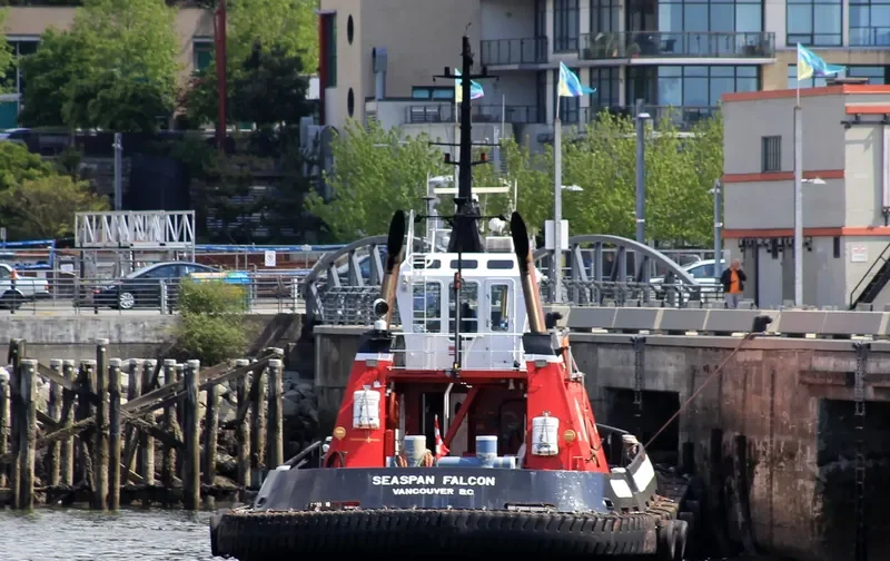 SEASPAN FALCON General Cargo IMO 9072393 photo 9