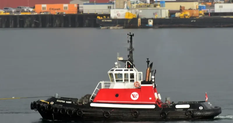 SEASPAN HAWK General Cargo IMO 9072408 photo 3