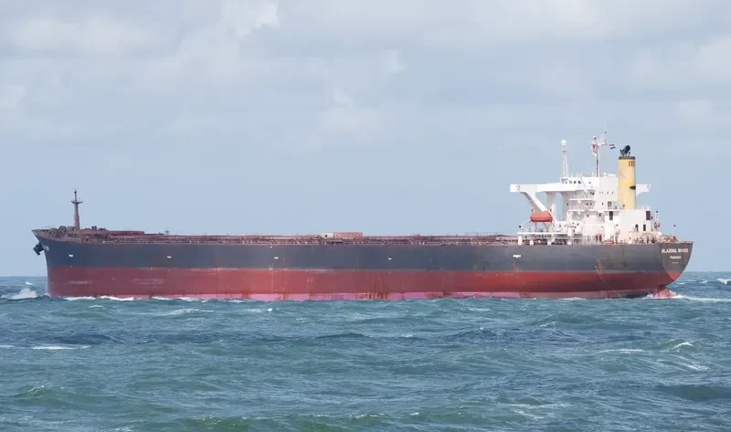 LEO II Bulk Carrier IMO 9072628