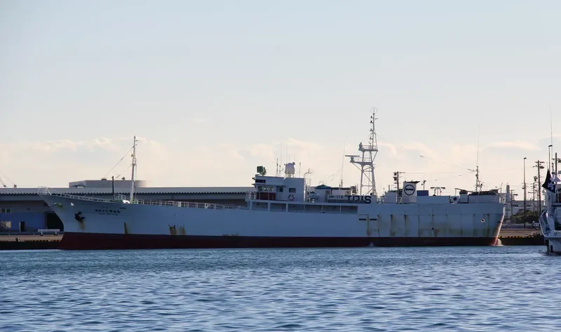KAIYO MARU NO.58 General Cargo IMO 9072783