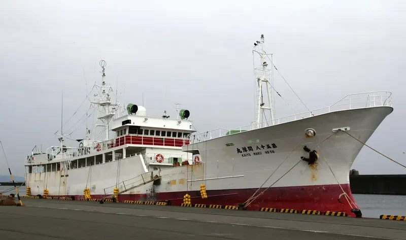KAIYO MARU NO.58 General Cargo IMO 9072783 photo 3