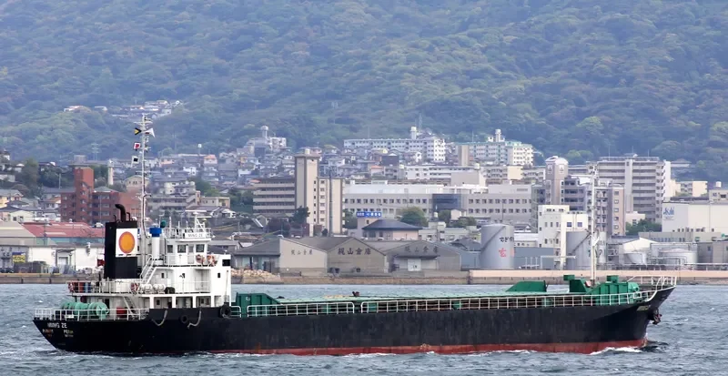 TIAN AN 18 General Cargo IMO 9072991 photo 2