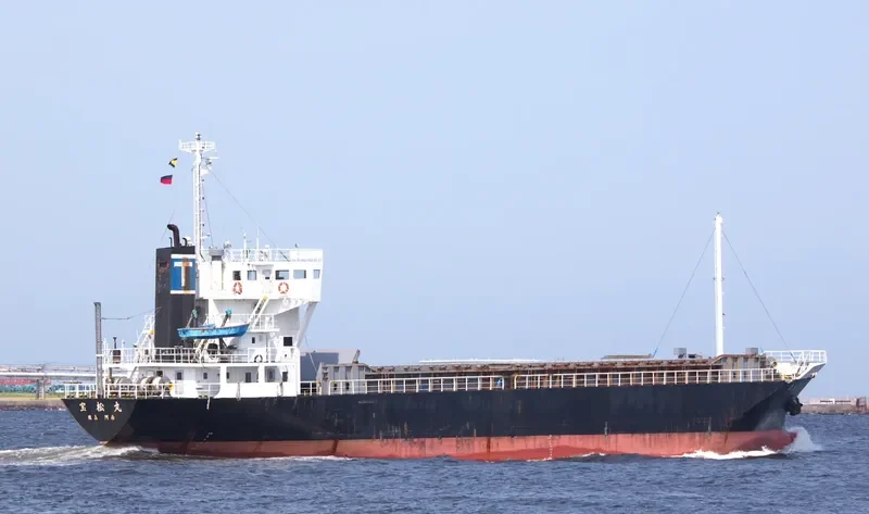 FORTUNE MIGHTY General Cargo IMO 9073012 photo 2