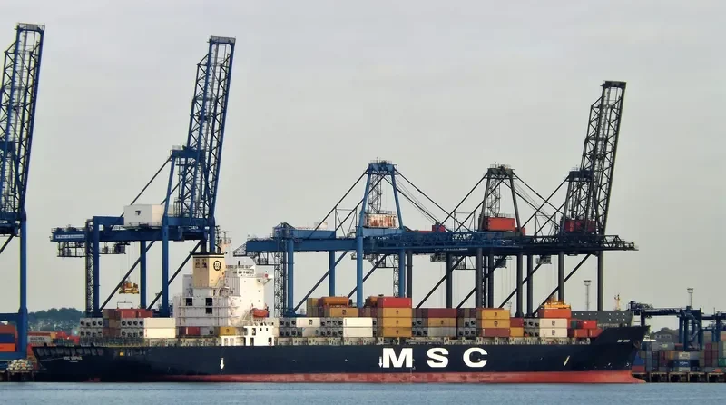 MSC SOPHIE Container Ship IMO 9073062