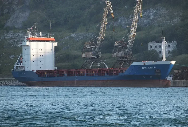 ZIAD JUNIOR General Cargo IMO 9073086