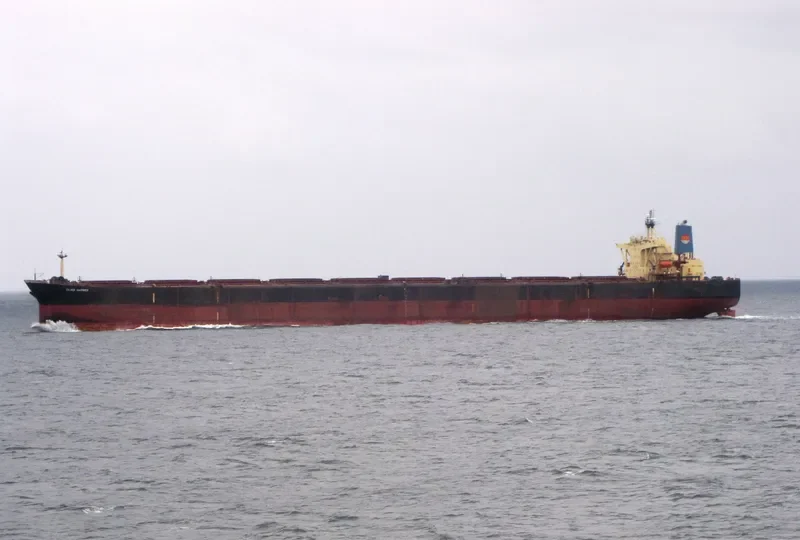 SILVER MARINER Bulk Carrier IMO 9073488
