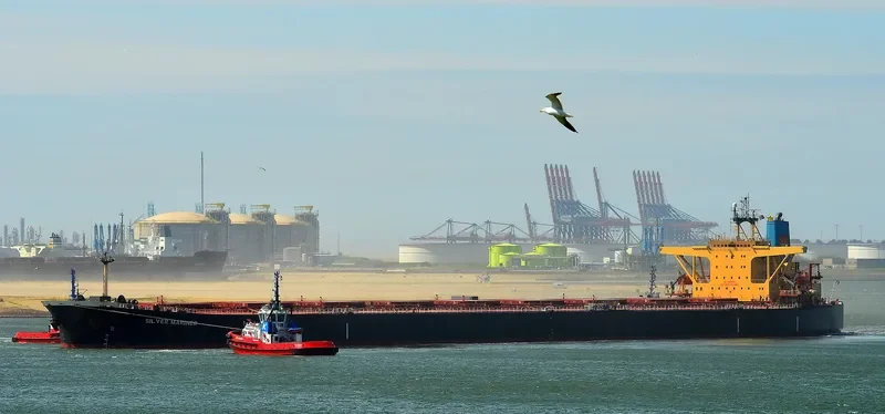 SILVER MARINER Bulk Carrier IMO 9073488 photo 5