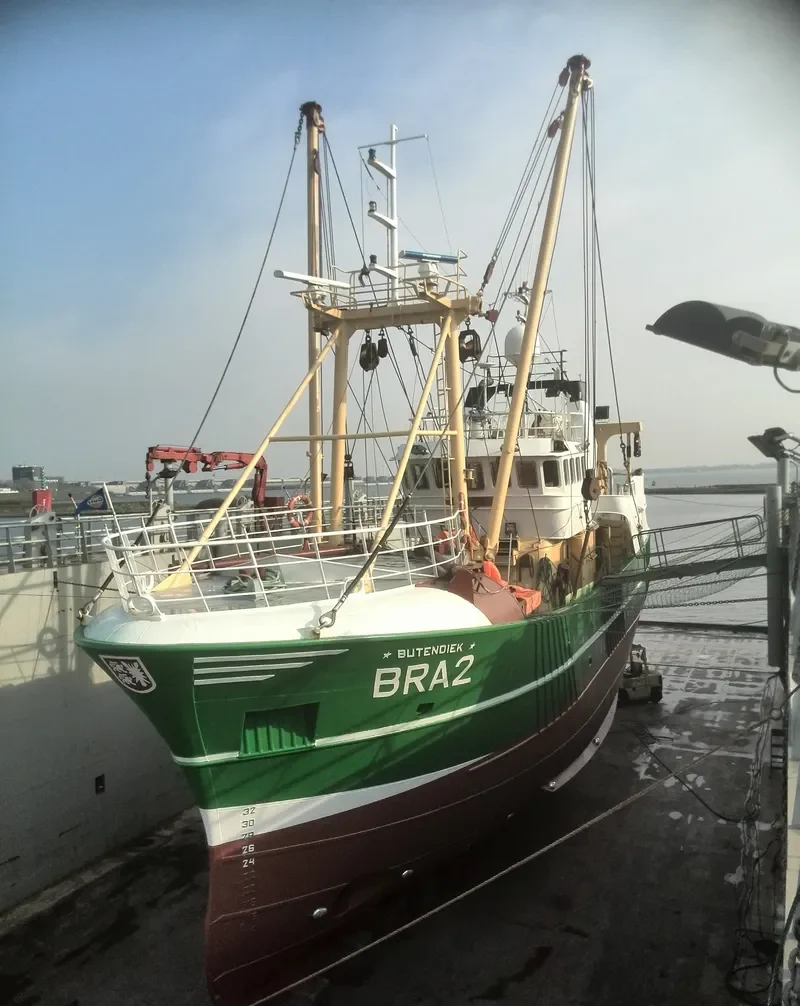 BUTENDIEK General Cargo IMO 9073593 photo 10