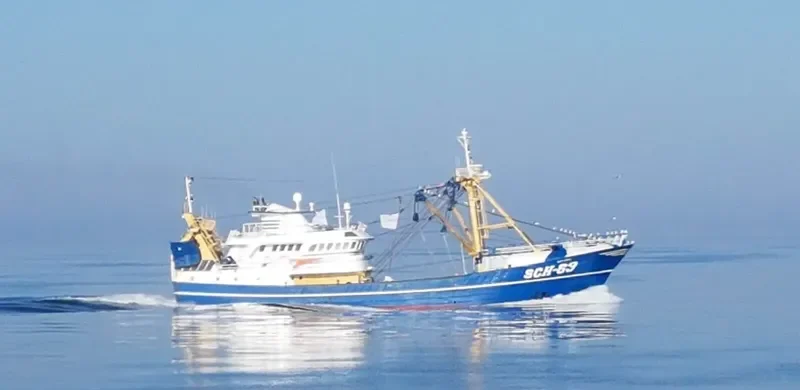 SCH 63 QUO VADIS General Cargo IMO 9073878 photo 3