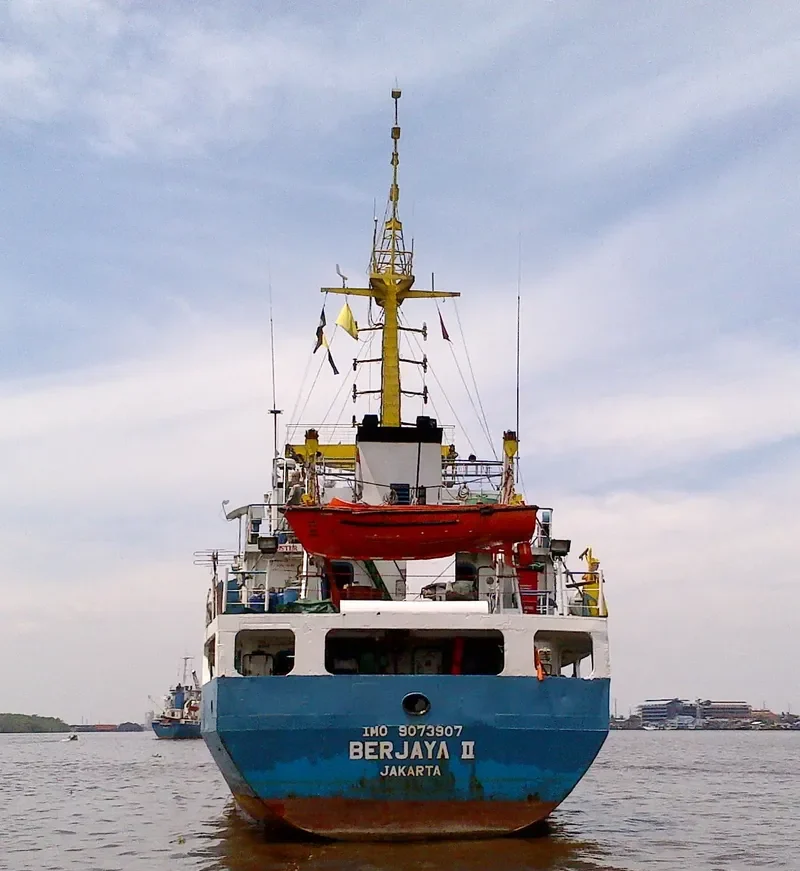 BERJAYA II General Cargo IMO 9073907 photo 2