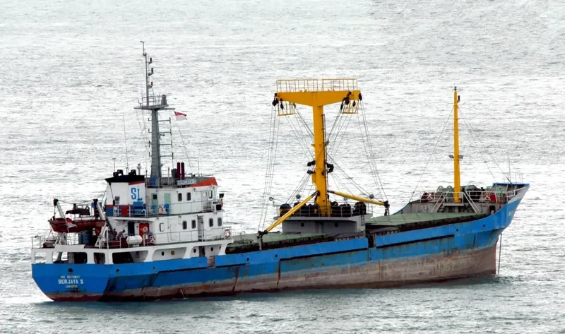BERJAYA II General Cargo IMO 9073907 photo 9