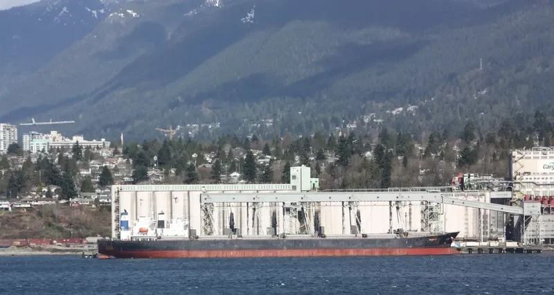 SEACONPRIDE Bulk Carrier IMO 9074016 photo 4