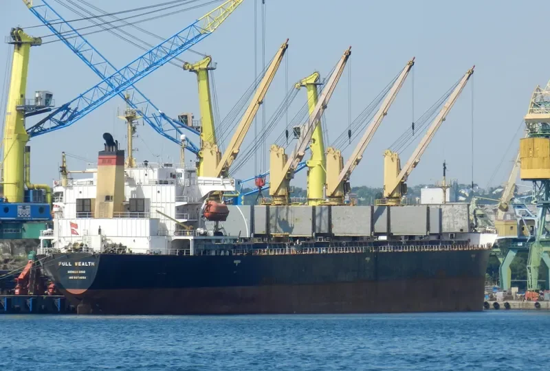 FULL WEALTH Bulk Carrier IMO 9074054