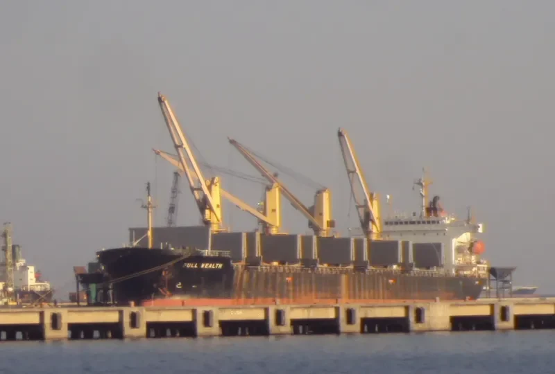 FULL WEALTH Bulk Carrier IMO 9074054 photo 8