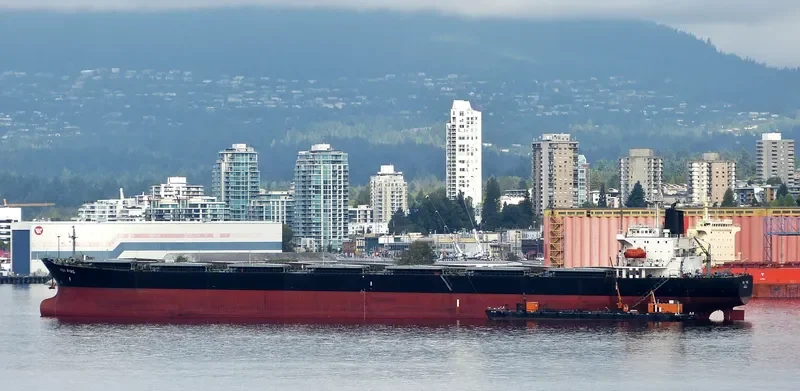 HUI PING Bulk Carrier IMO 9074107 photo 3