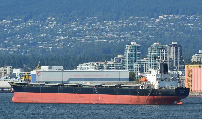 HUI PING Bulk Carrier IMO 9074107 photo 4