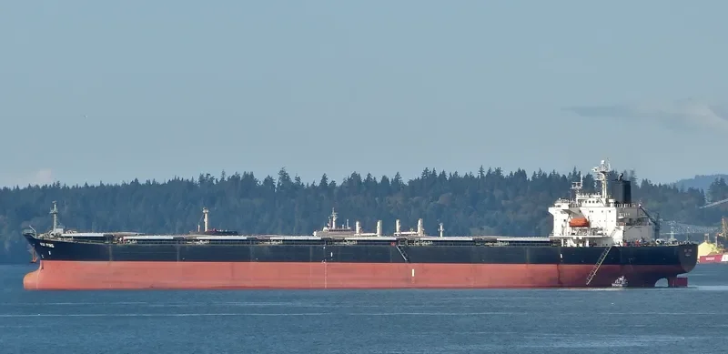 HUI PING Bulk Carrier IMO 9074107 photo 5