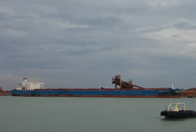 ANANGEL AMBITION Bulk Carrier IMO 9074119 photo 2
