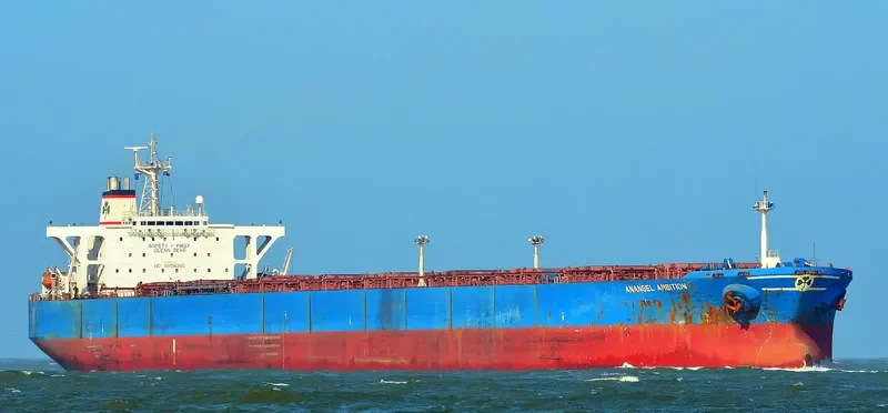 ANANGEL AMBITION Bulk Carrier IMO 9074119 photo 4