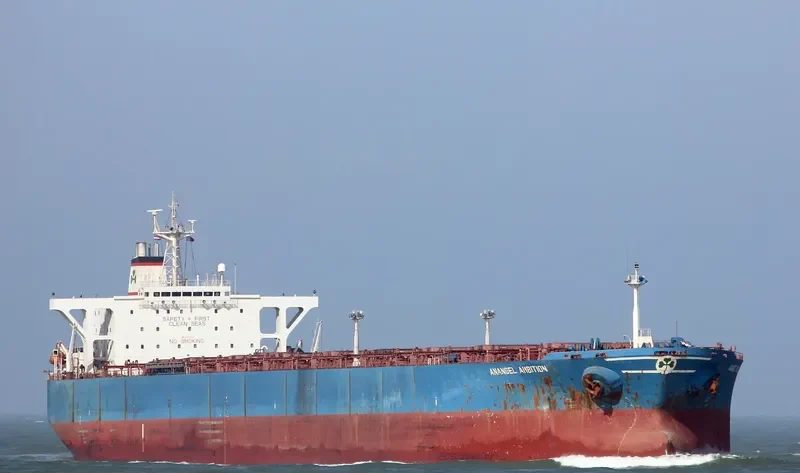ANANGEL AMBITION Bulk Carrier IMO 9074119 photo 6